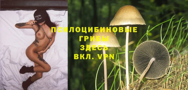 спайс Алзамай