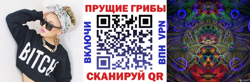 Псилоцибиновые грибы мицелий  наркотики  это наркотические препараты  Новосиль 